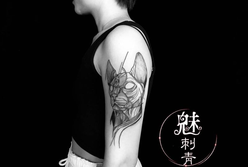 无毛猫纹身图片