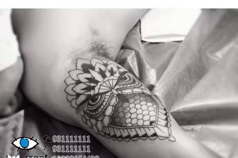 猫头鹰纹身图片