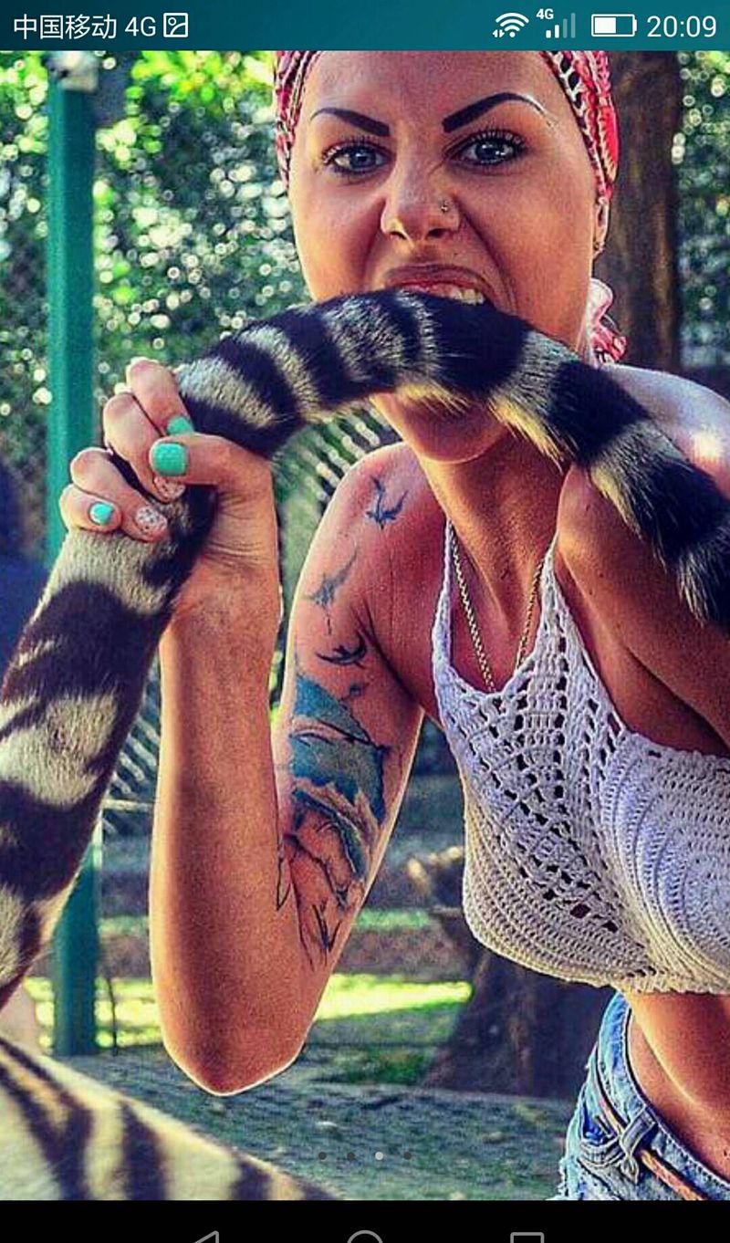 飞翔纹身图片_手臂欧美成品纹身图案