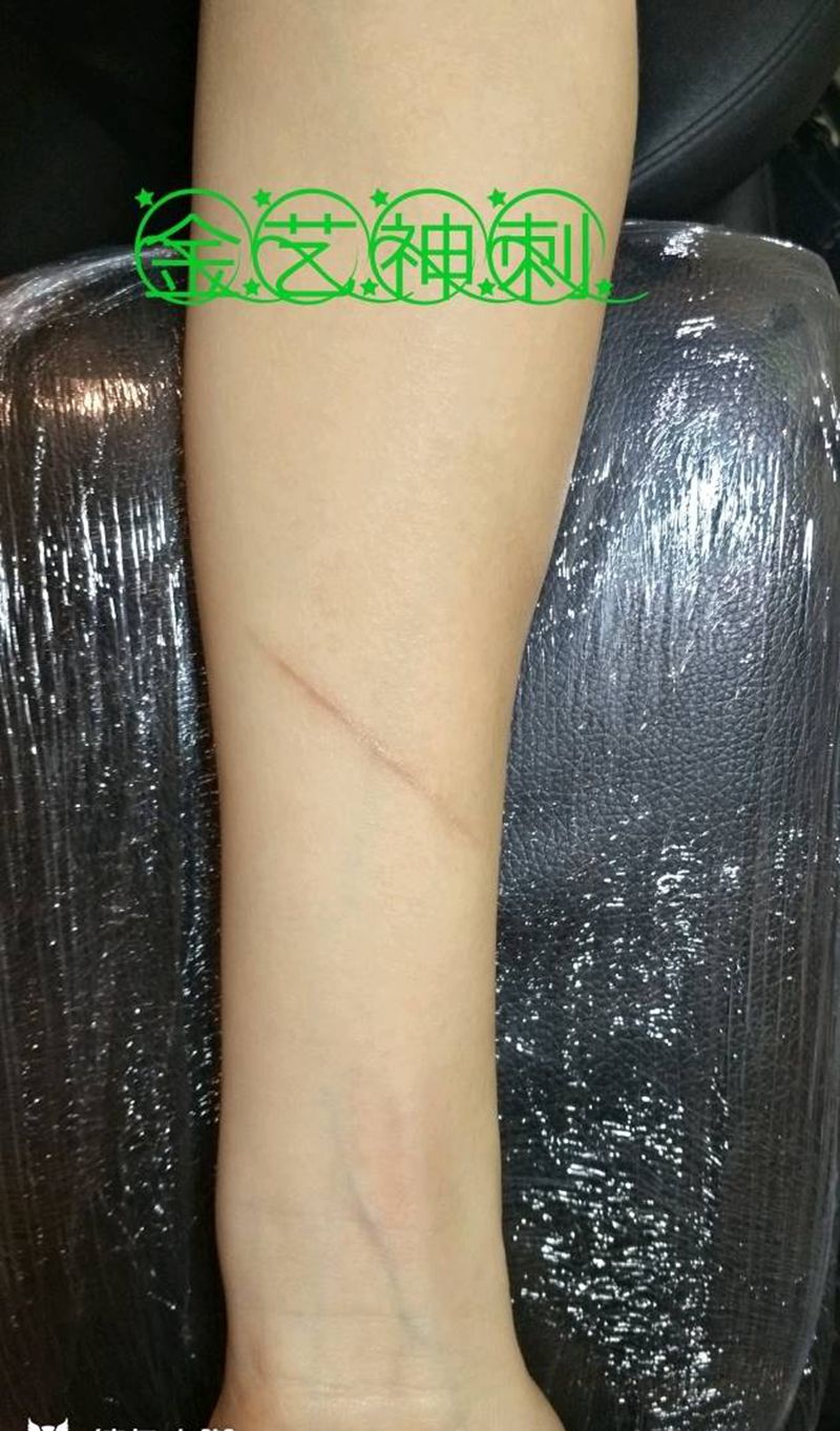 羽毛 遮盖 疤痕纹身图片_手臂清新动物成品纹身图案