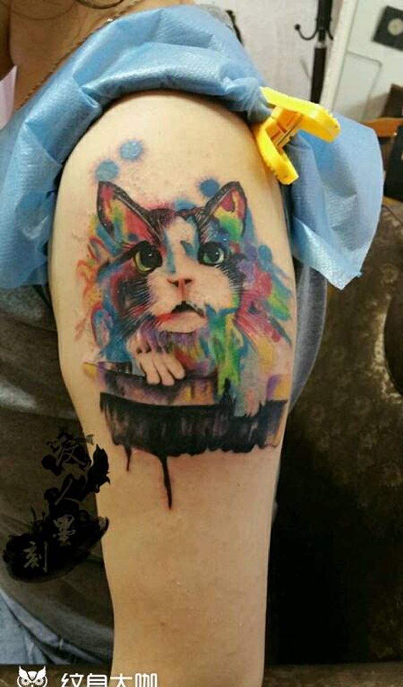 水彩猫星人纹身图片_手臂动物成品纹身图案