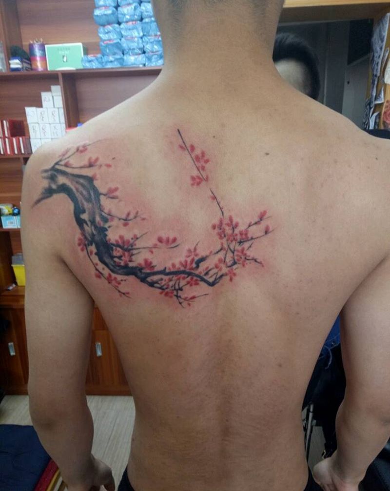 背后梅花纹身图片_背部传统植物成品纹身图案