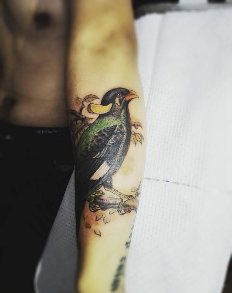 鹩哥纹身图片_手臂写实动物原创成品纹身图案