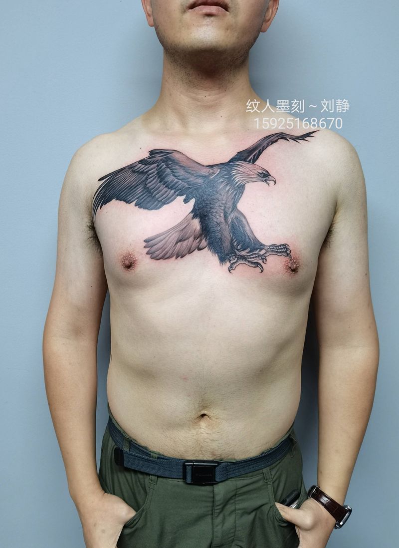 鹰纹身图片_胸部欧美写实纹身图案