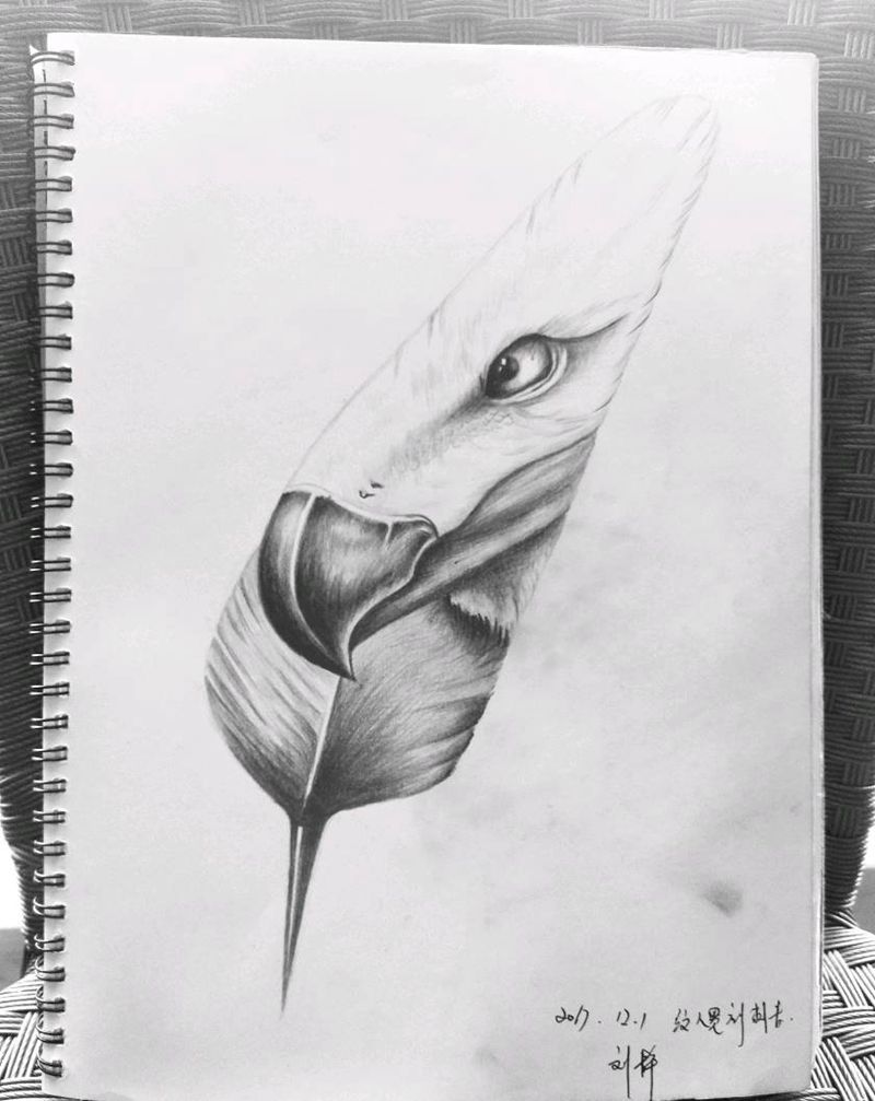 设计手稿，鹰纹身图片_昆明云南纹人墨刻手稿纹身图案