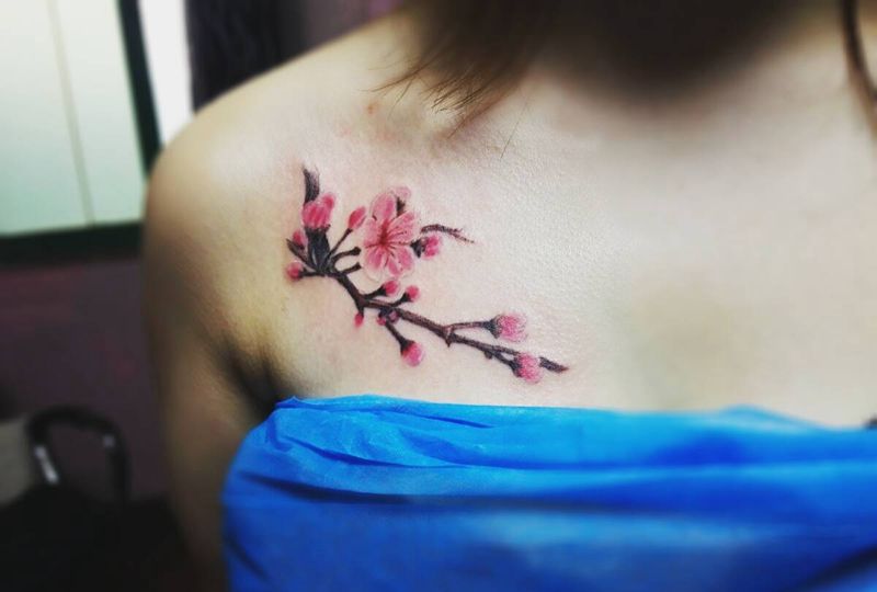 樱花纹身图片_胸部清新植物原创成品纹身图案