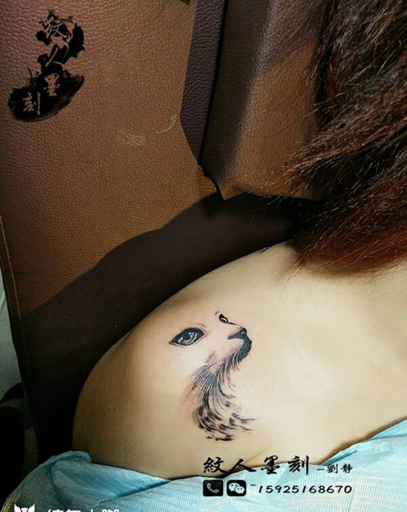 猫纹身图片_肩部清新动物昆明云南纹人墨刻成品纹身图案