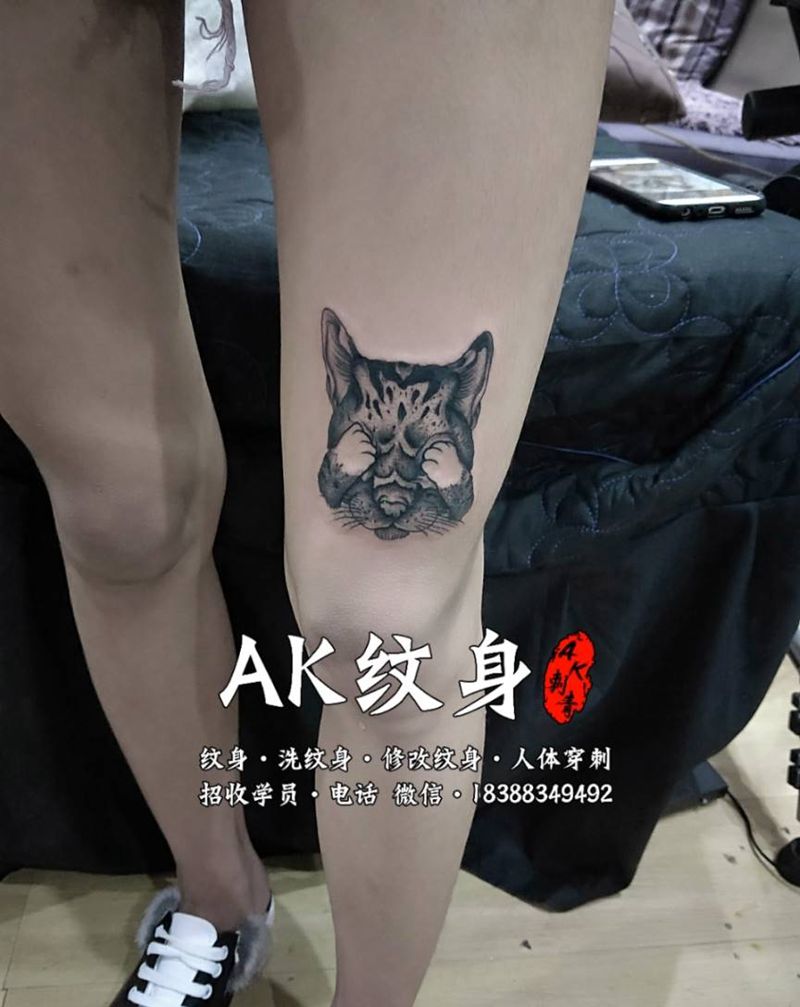 小猫纹身图片_手部腿部新传统欧美写实纹身图案
