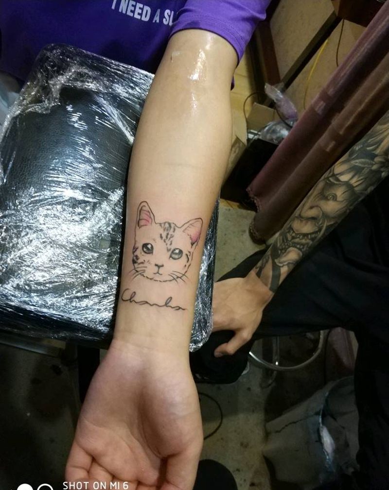 小猫纹身图片_手臂传统动物成品纹身图案