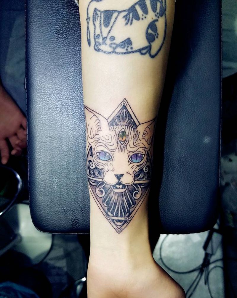 三眼猫纹身图片