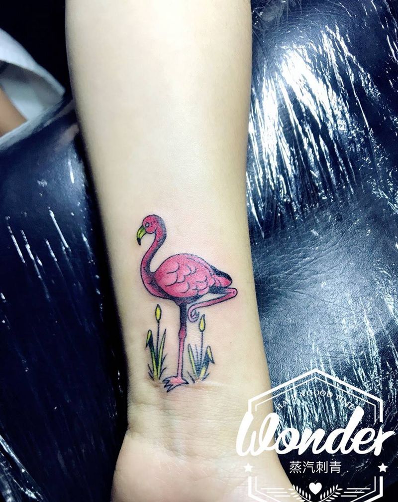 火烈鸟纹身图片