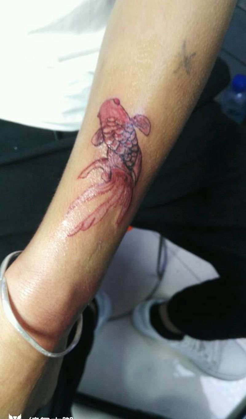 鱼纹身图片_手臂新传统纹身图案