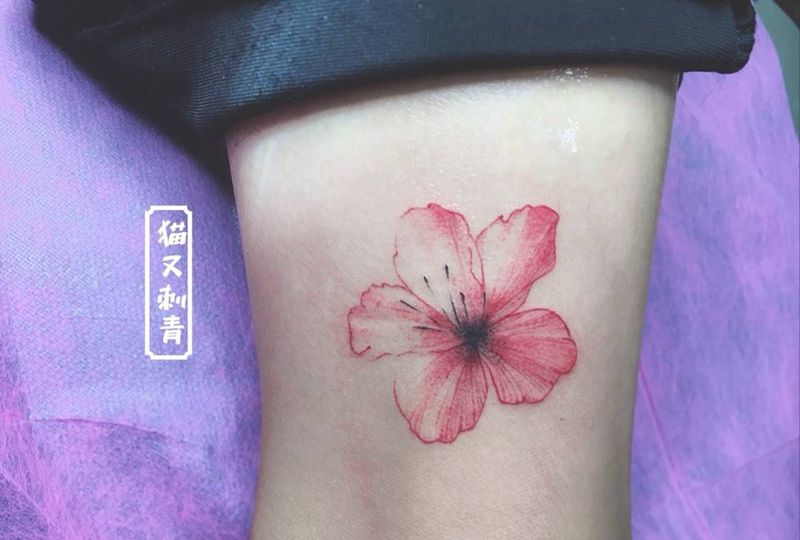 小发发纹身图片