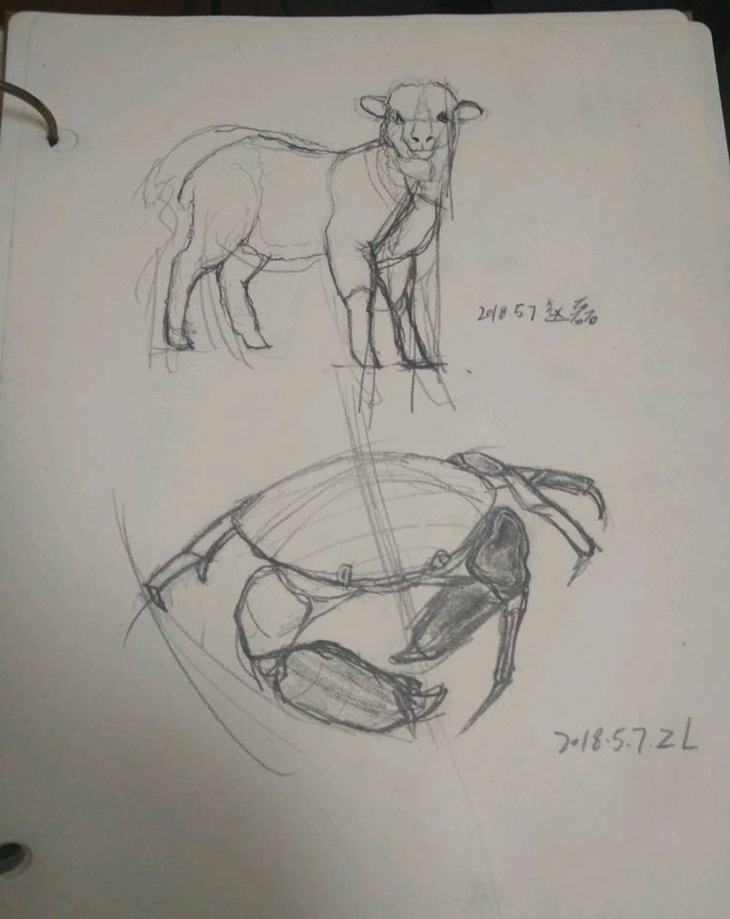 1纹身图片_欧美动物手稿纹身图案