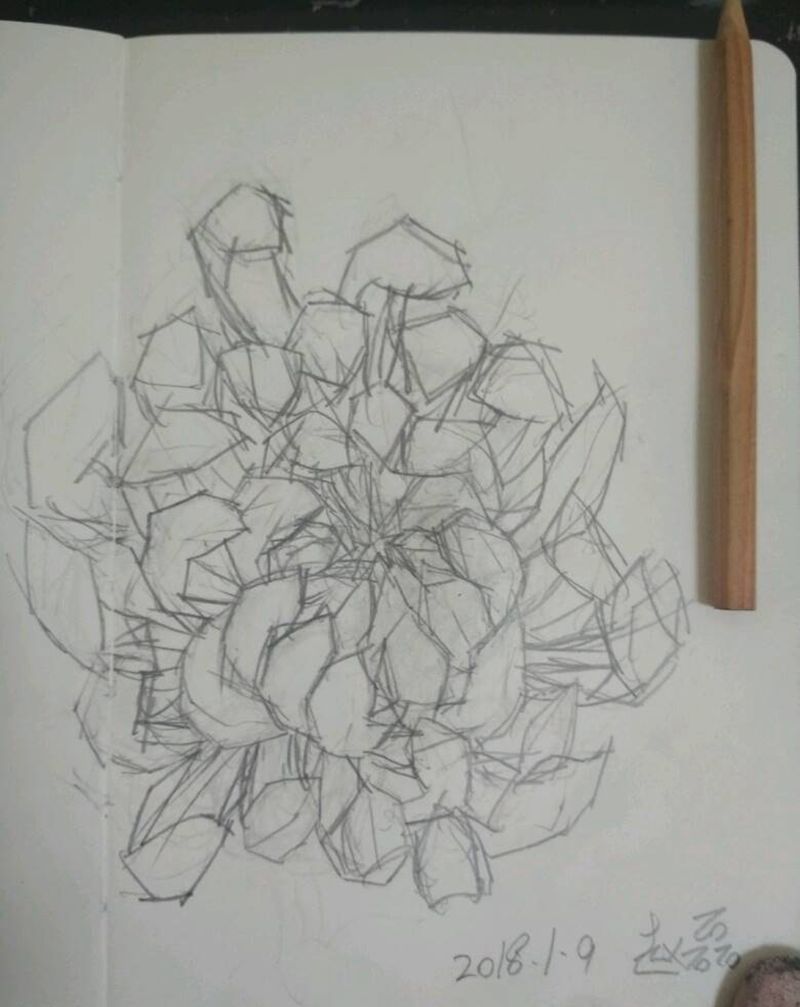 菊花 贰纹身图片