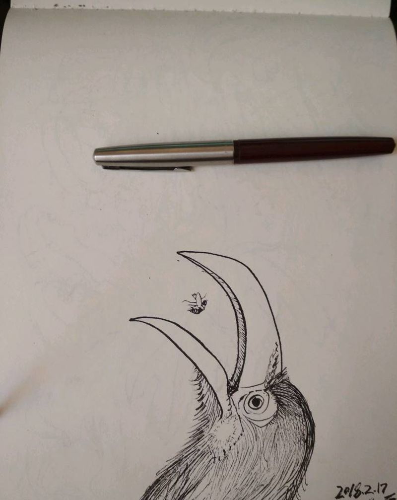 不知道什么鸟纹身图片