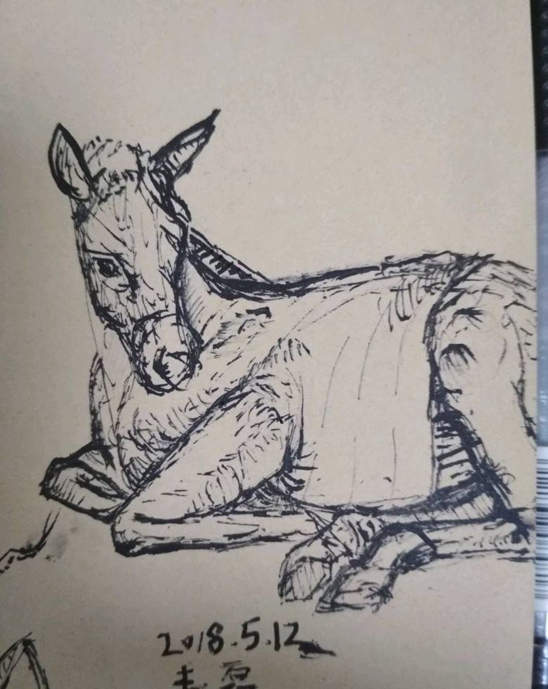 1纹身图片_欧美动物手稿纹身图案