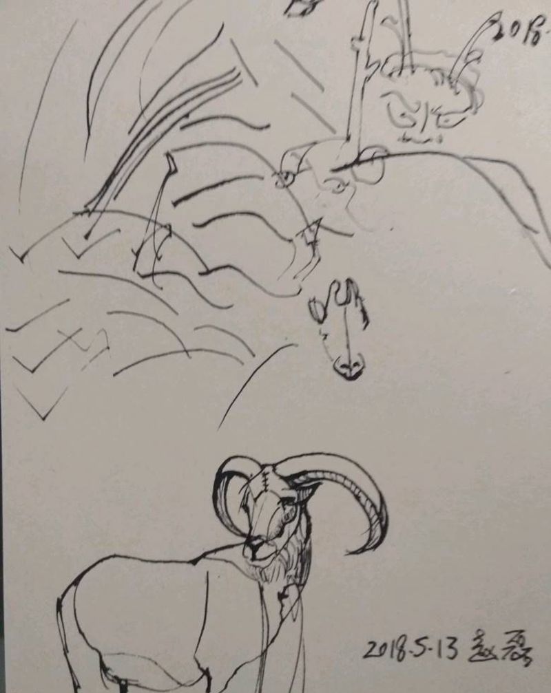 1纹身图片_欧美动物手稿纹身图案