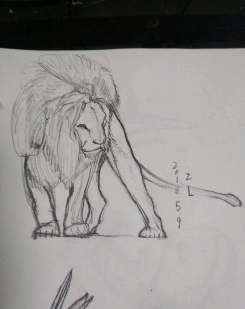 1纹身图片_欧美动物手稿纹身图案