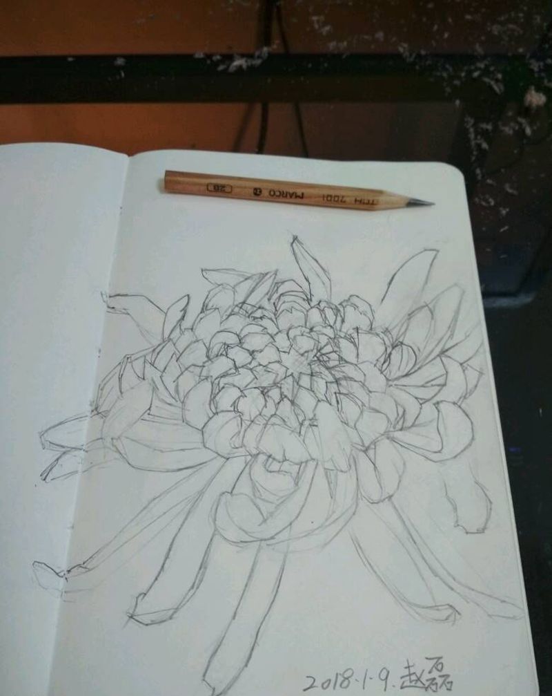 菊花 叁纹身图片