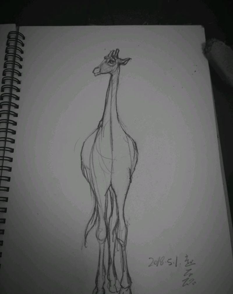 1纹身图片_欧美动物手稿纹身图案