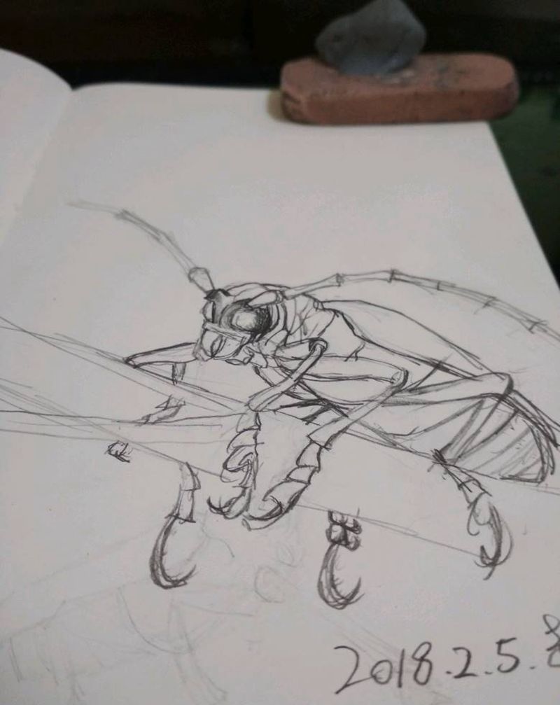 随便画纹身图片