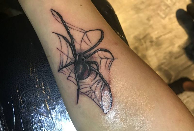 、蜘蛛纹身图片