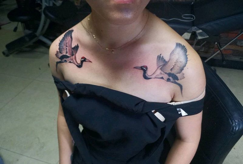 鹤，又加一个纹身图片_胸部肩部纹身图案