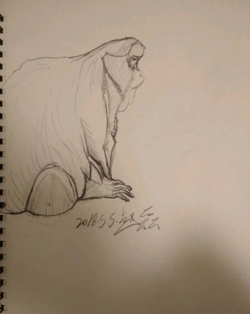 1纹身图片_欧美动物手稿纹身图案