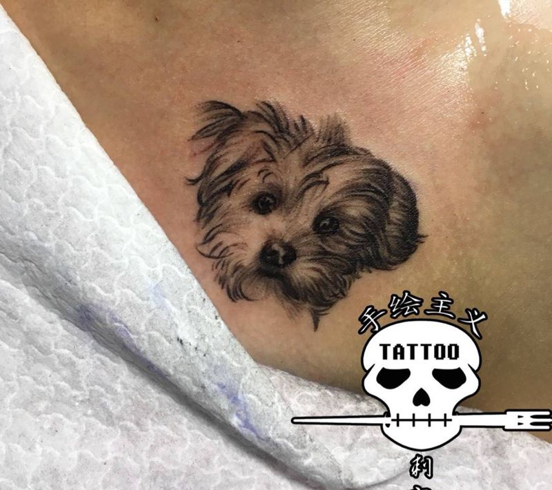 宠物纹身图片_成品胸部肖像动物纹身图案