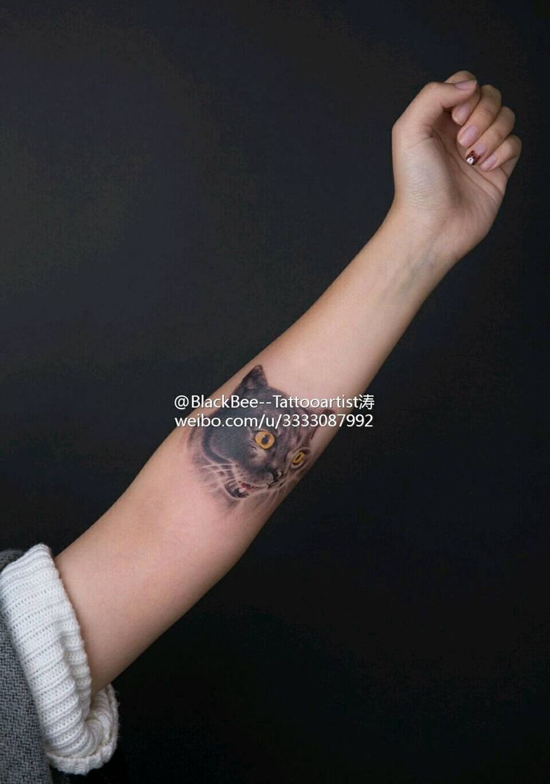 猫纹身图片_手臂手部欧美肖像清新写实贴纸动物原创成品纹身图案