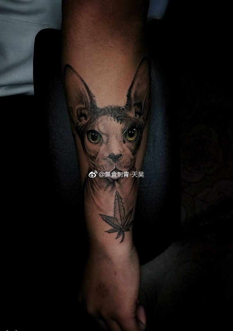 斯芬克斯纹身图片_手部欧美肖像写实动物原创成品纹身图案