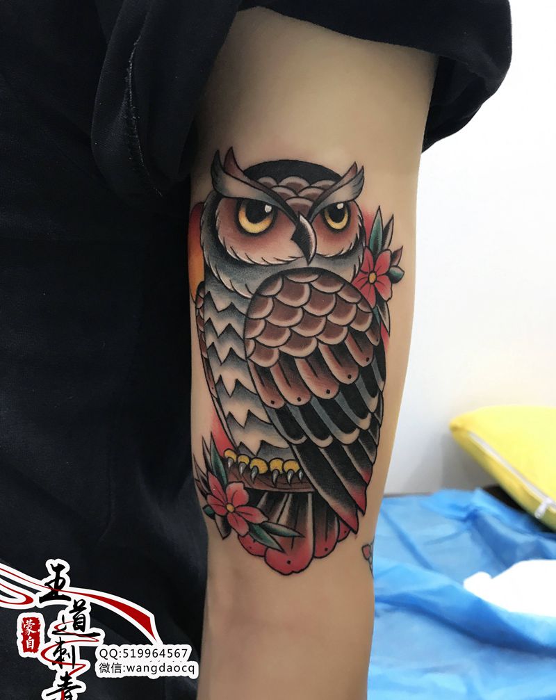 猫头鹰纹身图片_手臂手部New School水彩猫头鹰花臂欧美纹身图案