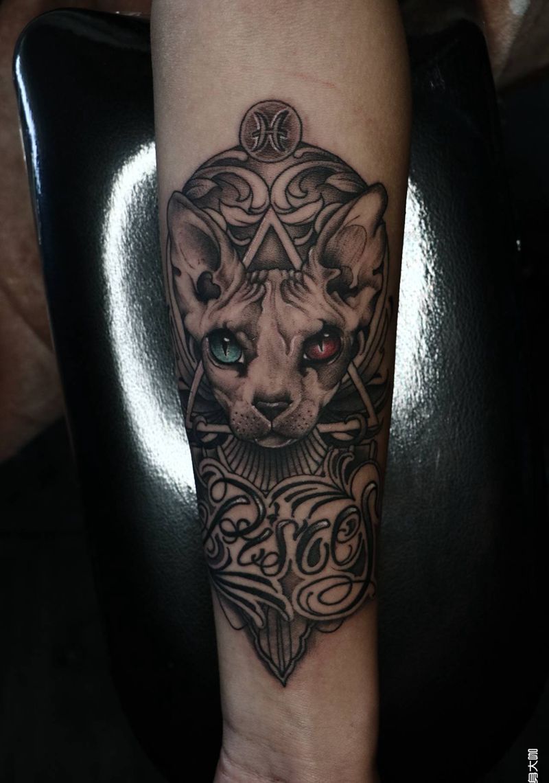 斯芬克斯纹身图片_欧美写实猫动物纹身图案