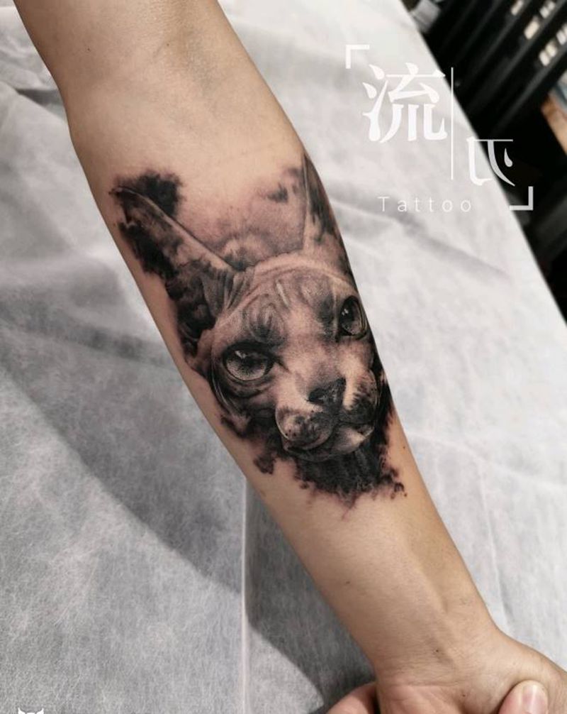 斯芬克斯猫纹身图片_手臂欧美写实纹身图案