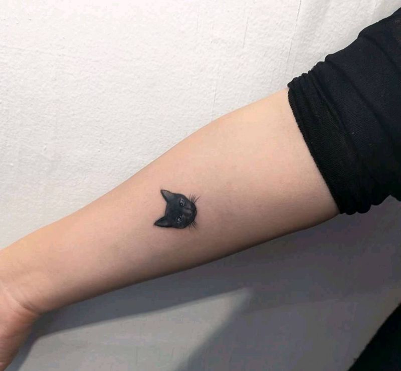 猫纹身图片