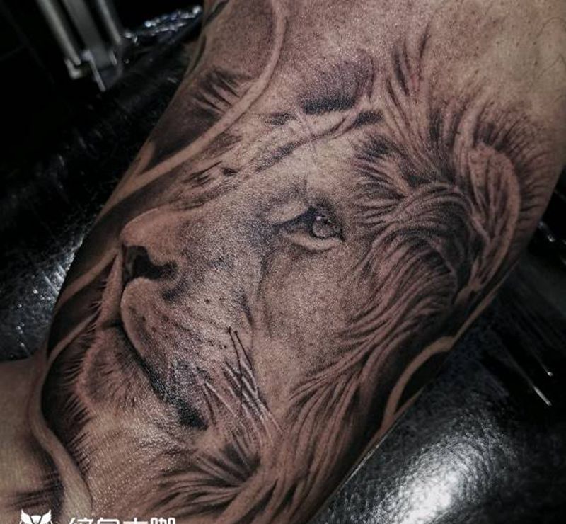 写实狮子纹身图片_手臂欧美写实狮子纹身图案