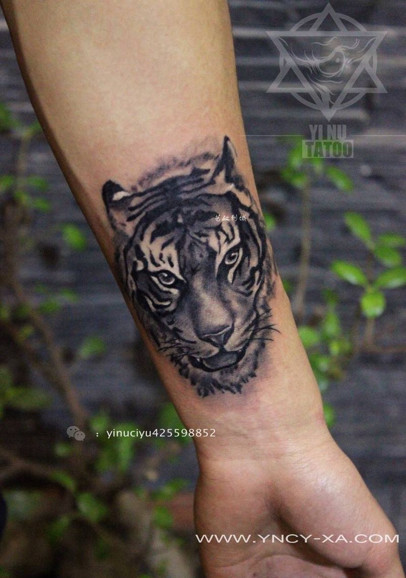 老虎纹身图片_成品手臂传统动物艺奴刺域纹身图案