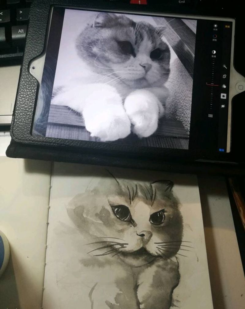 水墨猫咪纹身图片