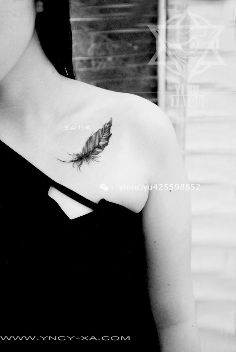 羽毛纹身图片_成品胸部清新艺奴刺域纹身图案