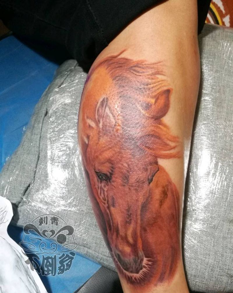 未完待续写实马儿纹身图片_欧美写实纹身图案