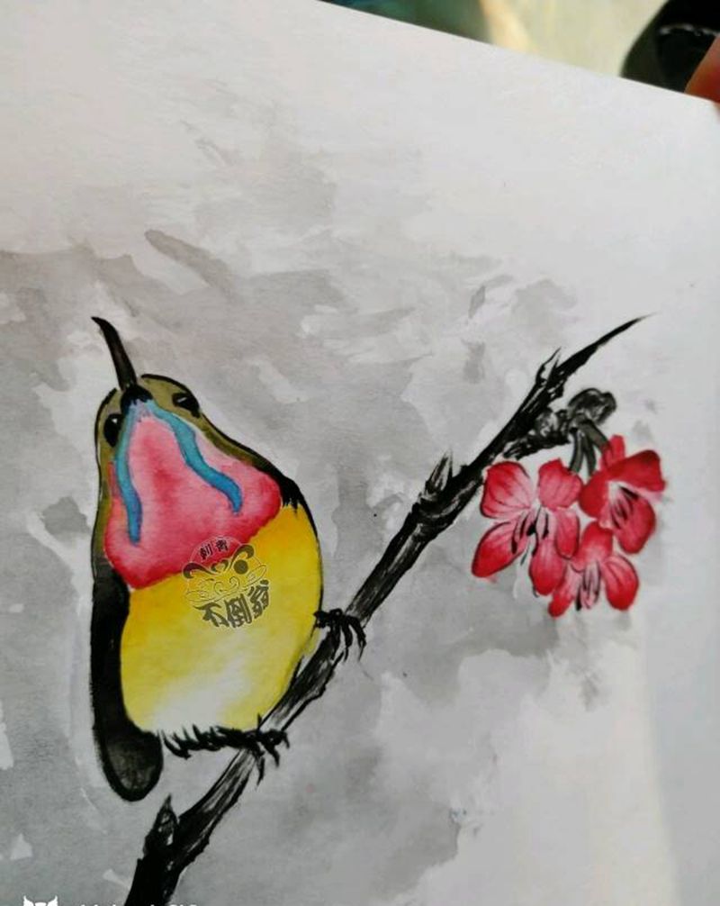 水墨手稿小鸟纹身图片
