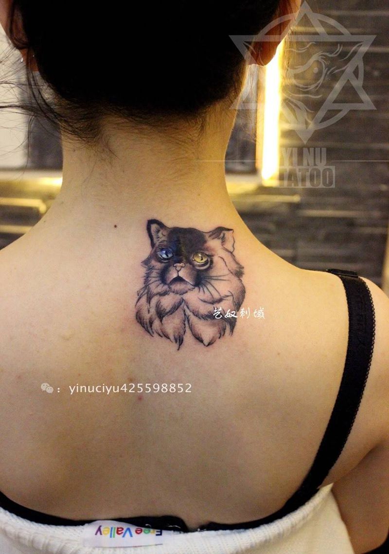 猫咪遮盖疤痕纹身图片_成品背部动物艺奴刺域纹身图案