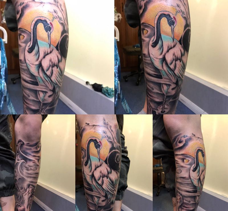 松鹤年年纹身图片_腿部纹身图案