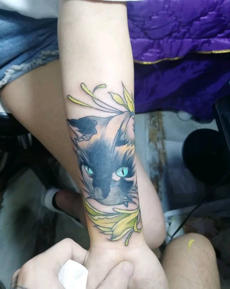 猫遮盖纹身图片