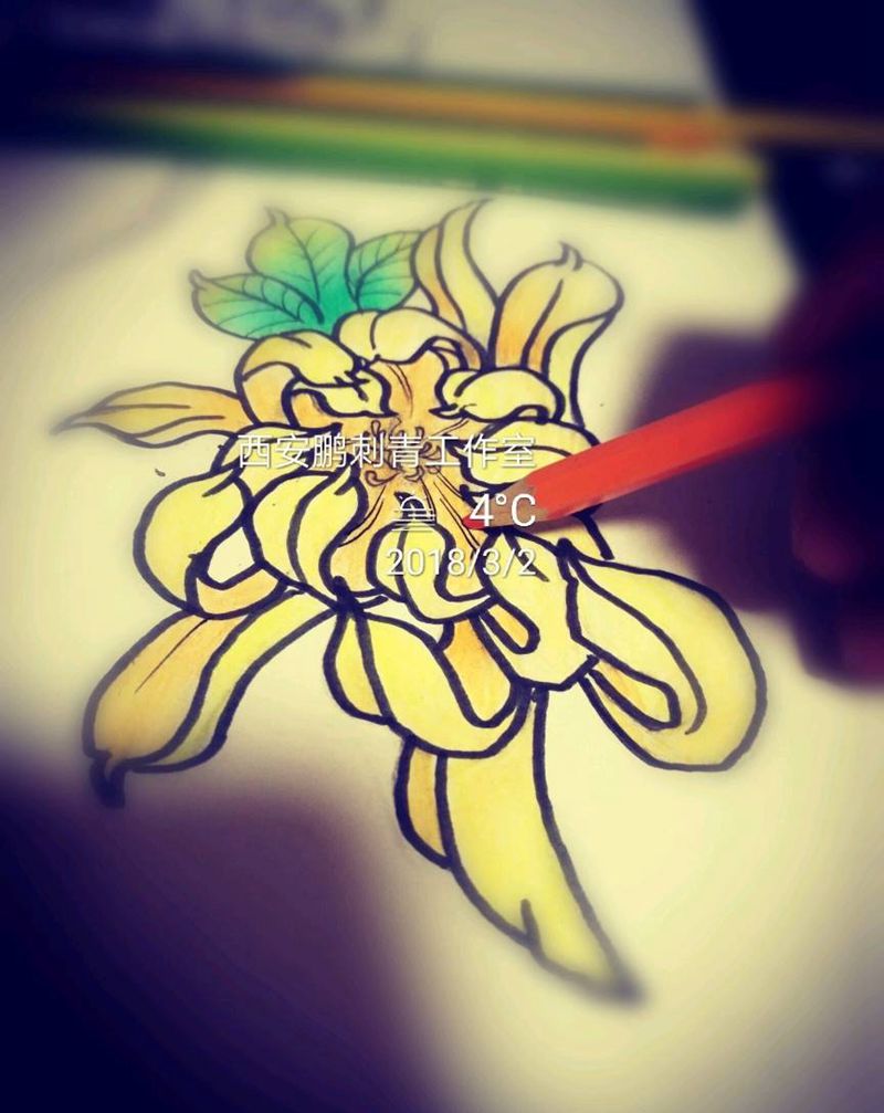 菊纹身图片_手稿纹身图案