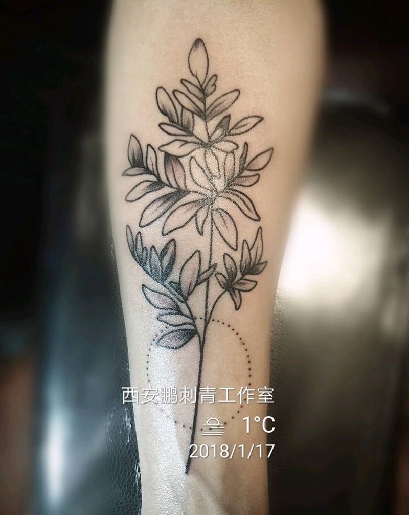小清新纹身图片_清新纹身图案