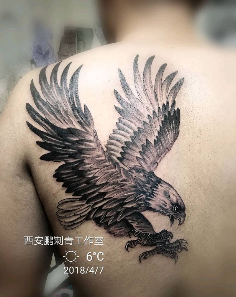 《雄鹰》纹身图片_新传统纹身图案