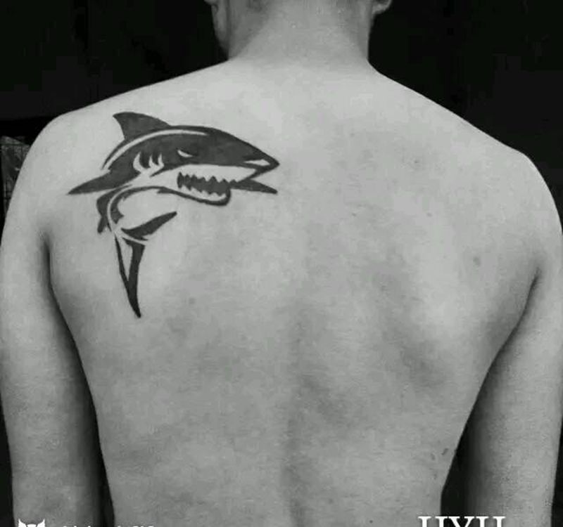 鲨鱼图腾纹身图片_肩部背部习俗清新几何图腾原创成品纹身图案