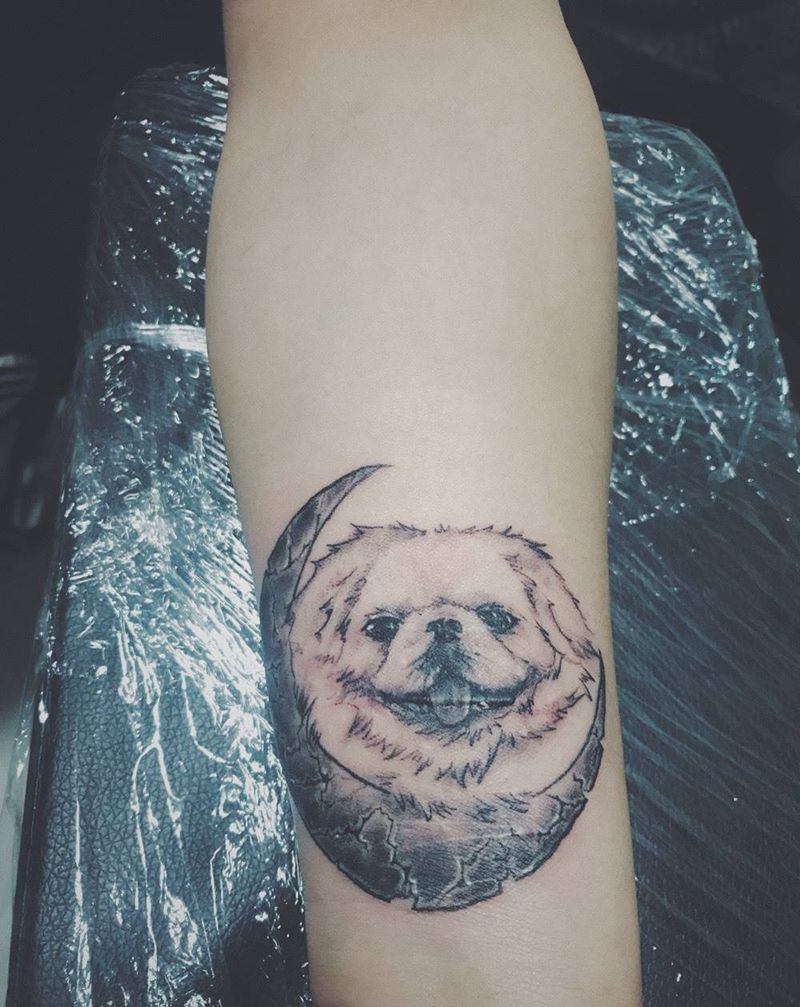 疤痕遮盖纹身图片